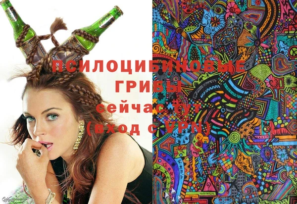 винт Белокуриха